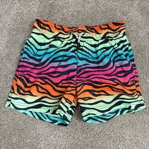 3/$10 Boys Art Class Swim Trunks